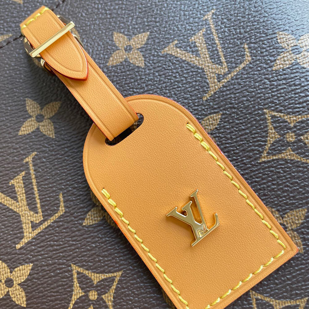 Louis Vuitton ODEON PM