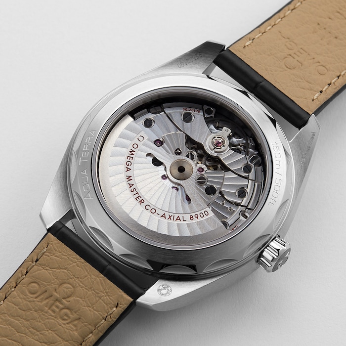 Seamaster Aqua Terra 150m Co-Axial 41mm Mens Watch