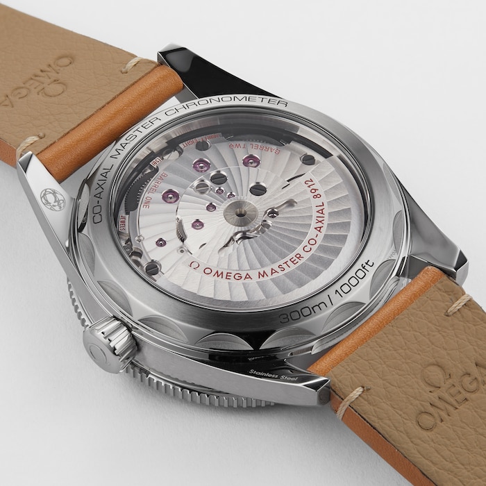 Seamaster 300 Co-Axial Master Chronometer 41mm Mens Watch