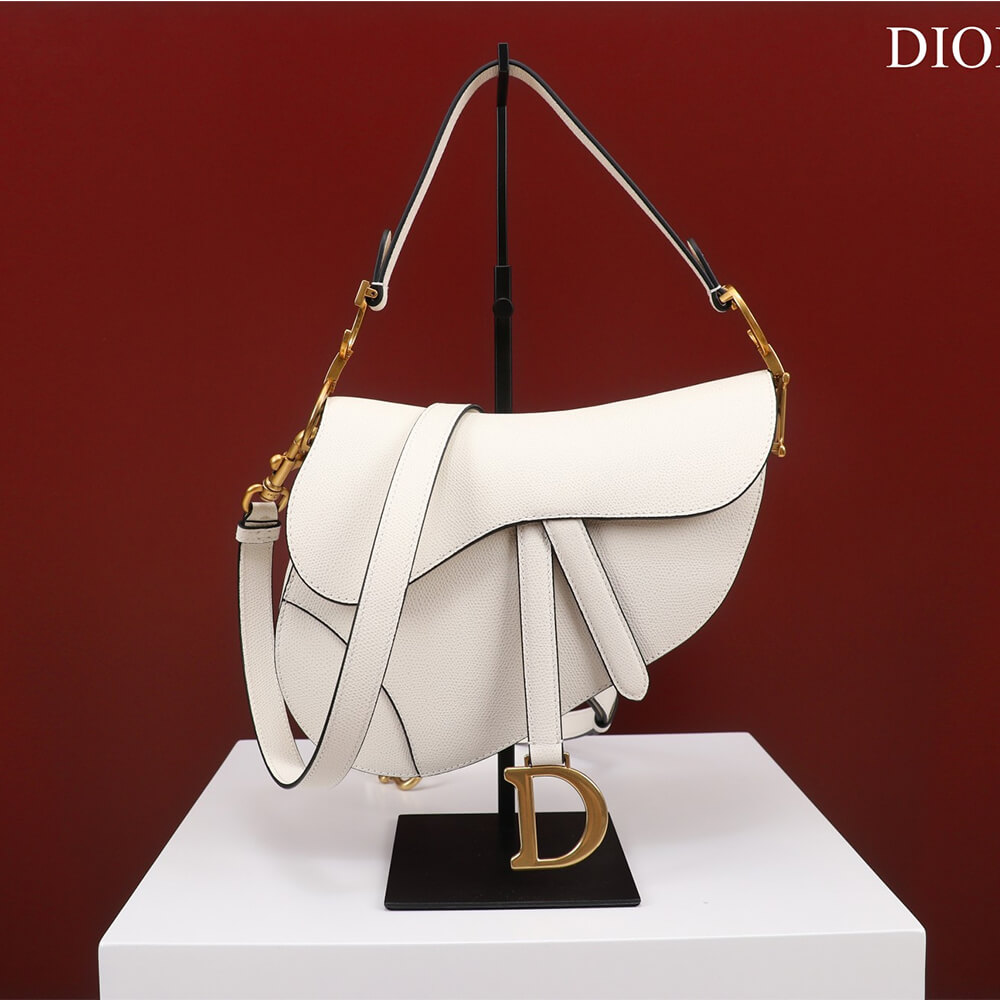 Dior SADDLE BAG WITH STRAP