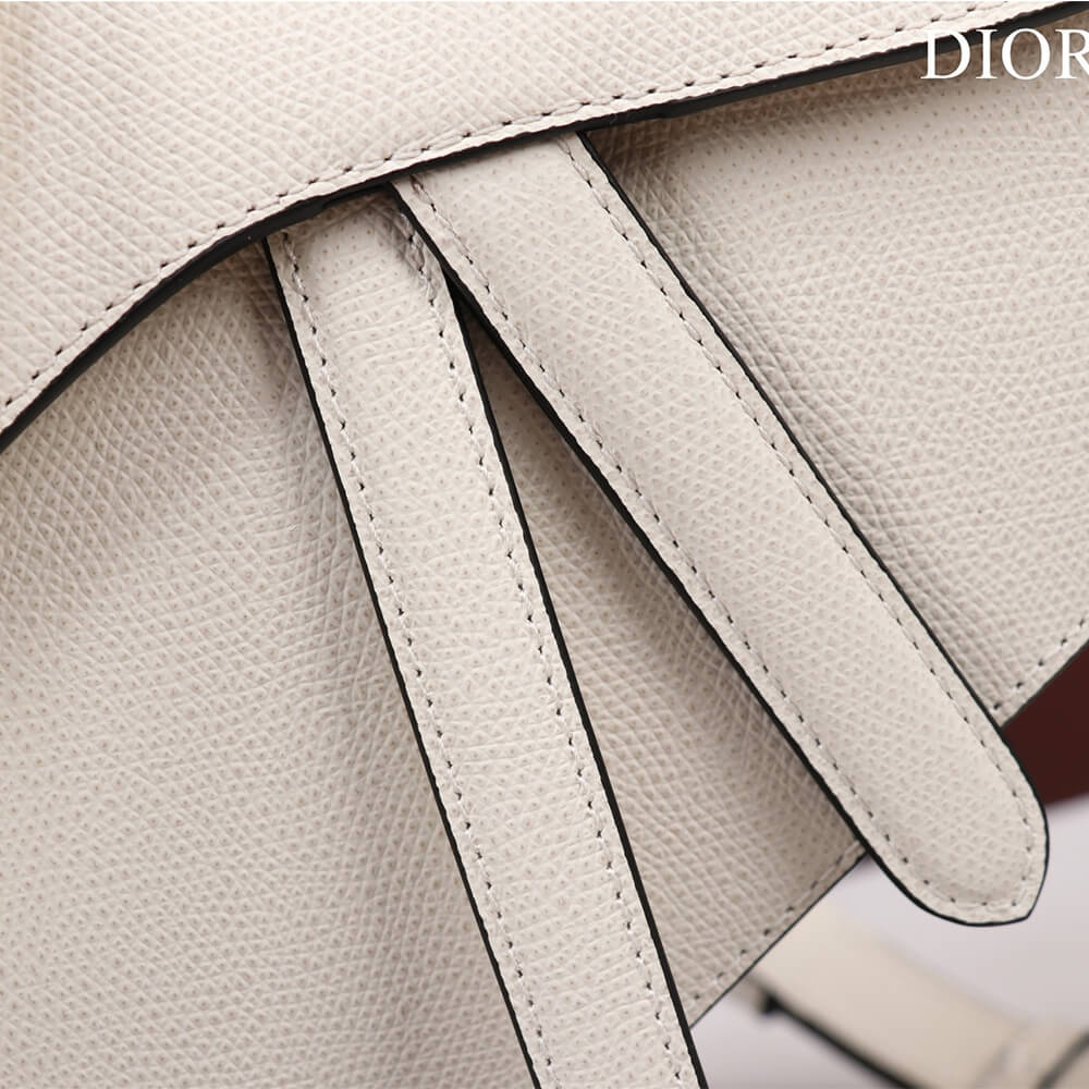 Dior SADDLE BAG WITH STRAP