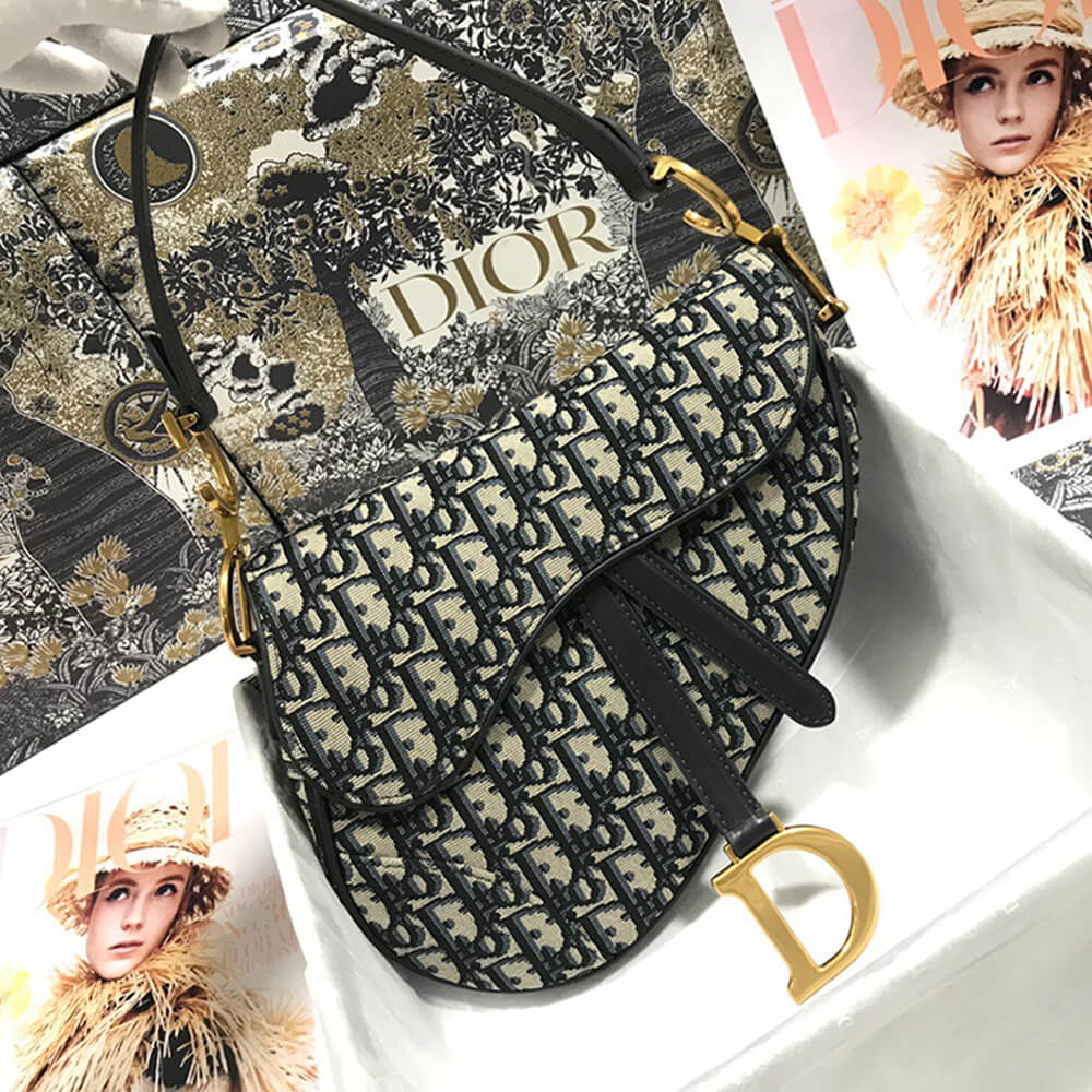 Dior Dior SADDLE BAG