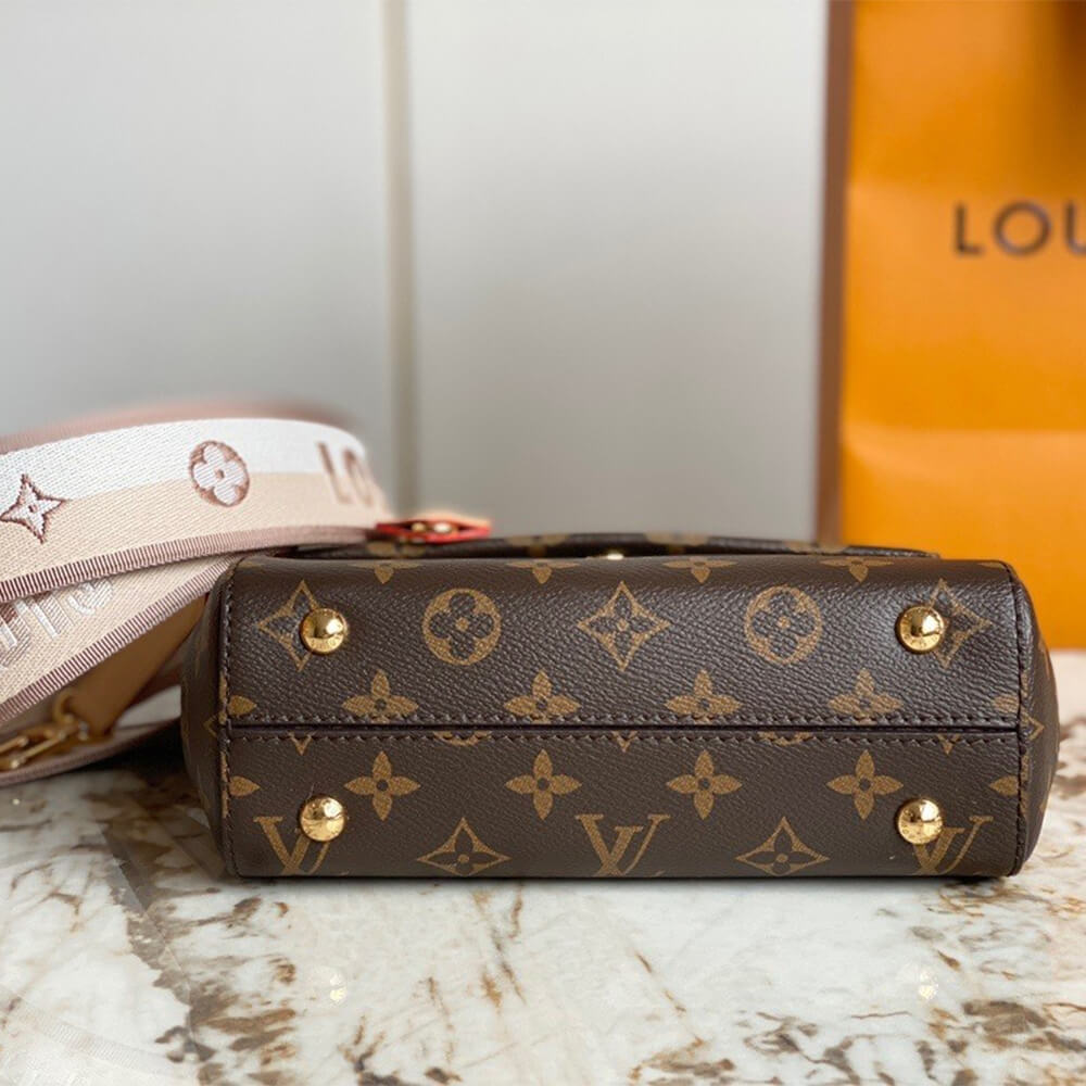 Louis Vuitton Cluny Mini