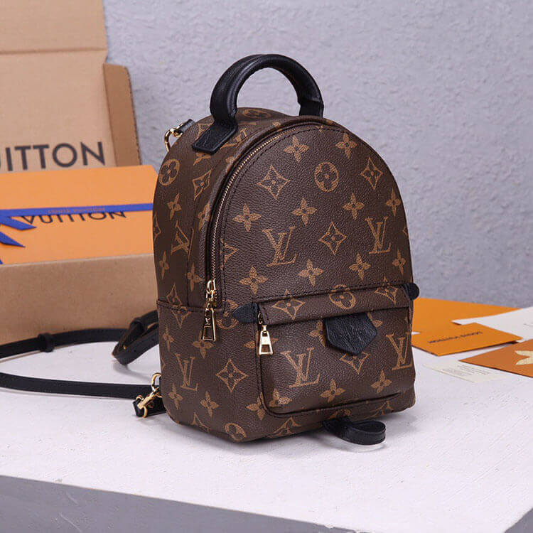Louis Vuitton Palm Springs Mini Backpack