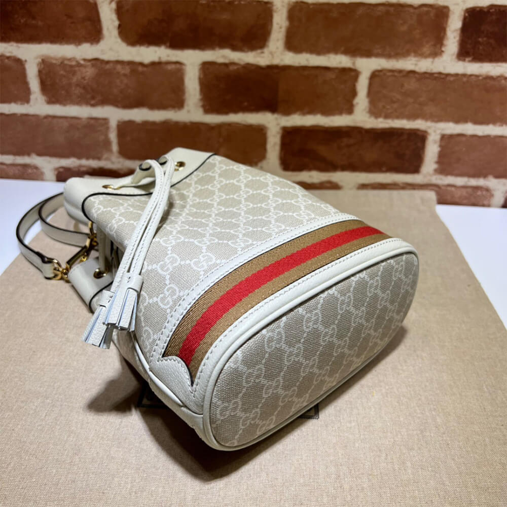 Louis Vuitton Ophidia small GG bucket bag
