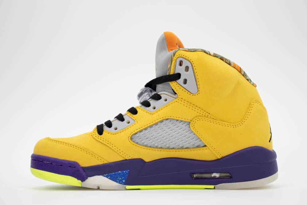 AIR JORDAN 5 WHAT THE