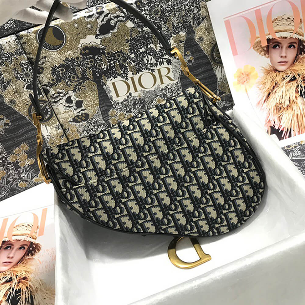 Dior Dior SADDLE BAG