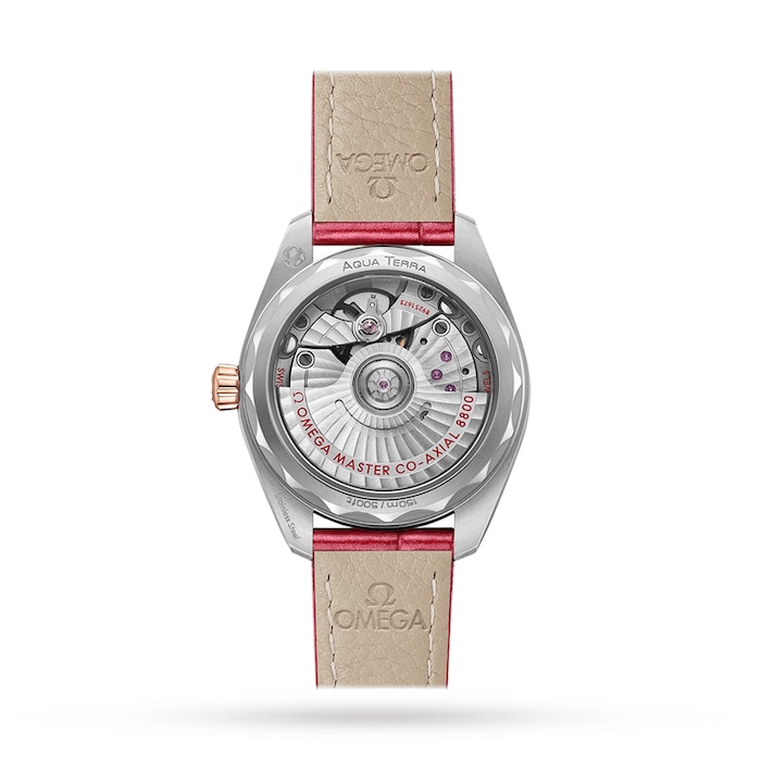 Seamaster Aqua Terra Co-Axial 38mm Ladies Watch