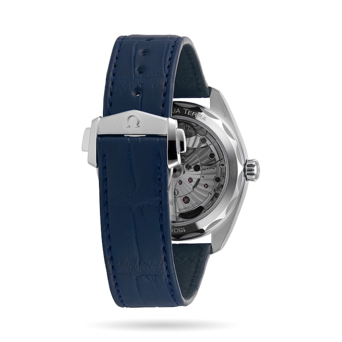 Seamaster Aqua Terra 150m Co-Axial 41mm Mens Watch