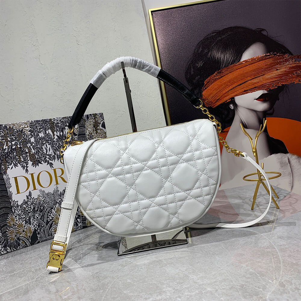 Dior MEDIUM DIOR VIBE HOBO BAG