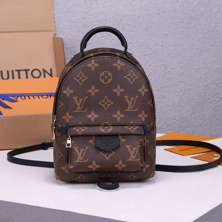 Louis Vuitton Palm Springs Mini Backpack