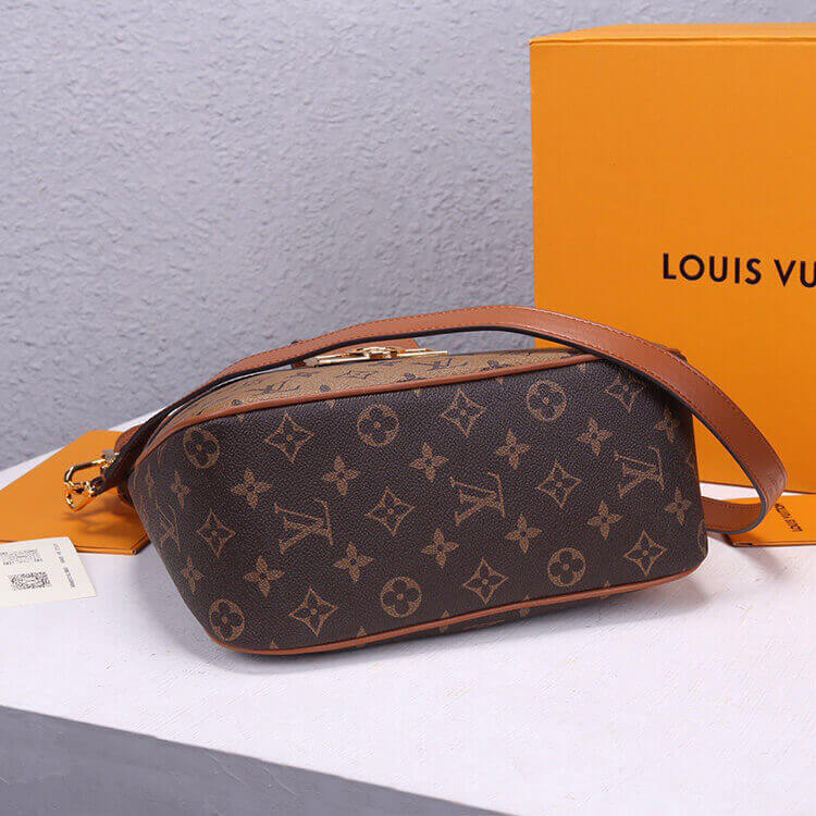 Louis Vuitton Hobo Dauphine PM Handbag