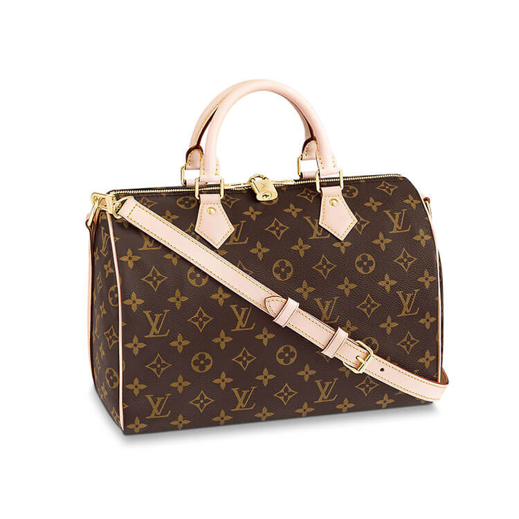Louis Vuitton Speedy Bandouliere 30 Handbag