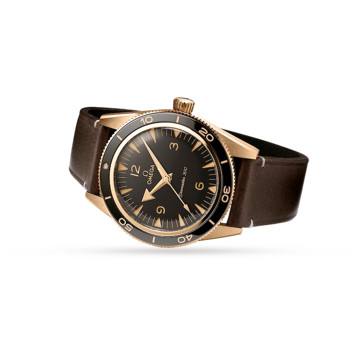 Seamaster 300 Co-Axial Master Chronometer 41mm Bronze Gold
