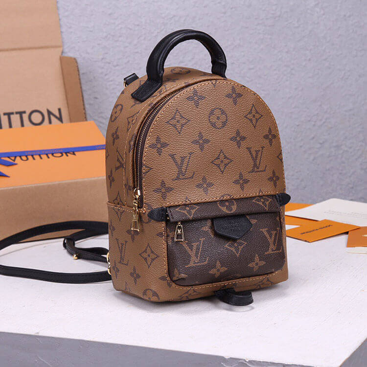 Louis Vuitton Palm Springs Mini Backpack