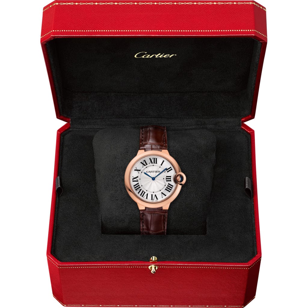 Ballon Bleu W6920083(Box NOT Included)