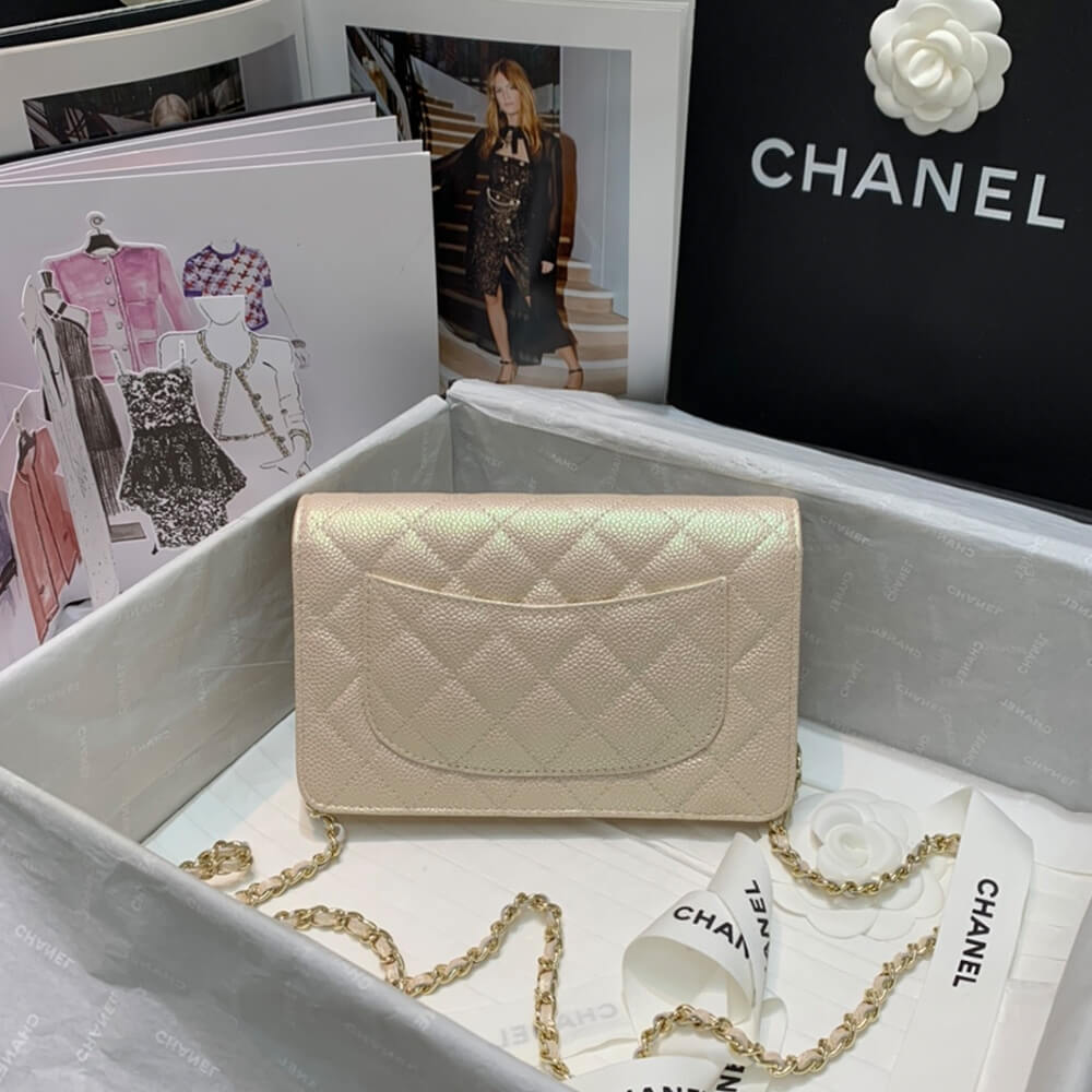 Chanel Wallet On Chain