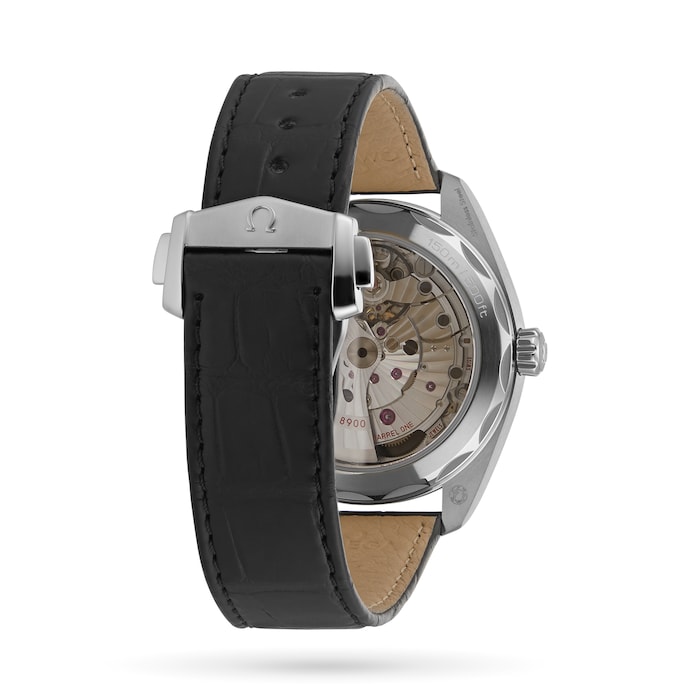 Seamaster Aqua Terra 150m Co-Axial 41mm Mens Watch