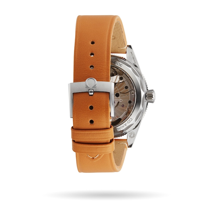 Seamaster 300 Co-Axial Master Chronometer 41mm Mens Watch