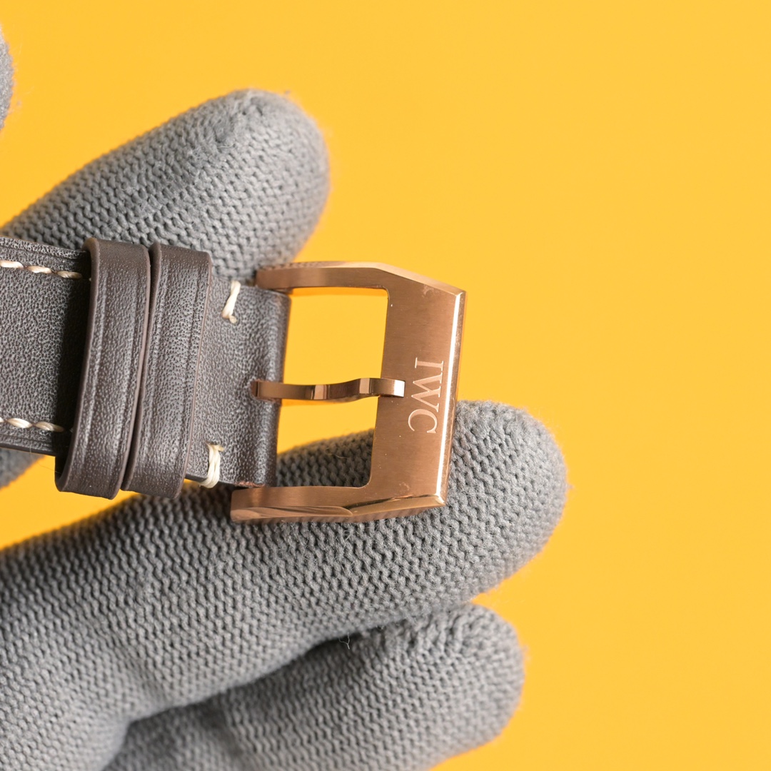 IWC Pilot's Watch IW329501