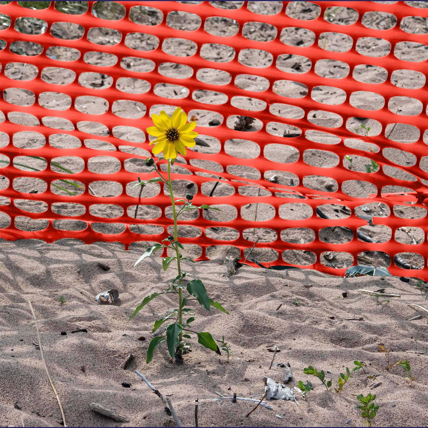 BISupply Temporary Fencing for Yard Green Outdoor Plastic Construction Fencing Roll for Dogs, Garden and Events