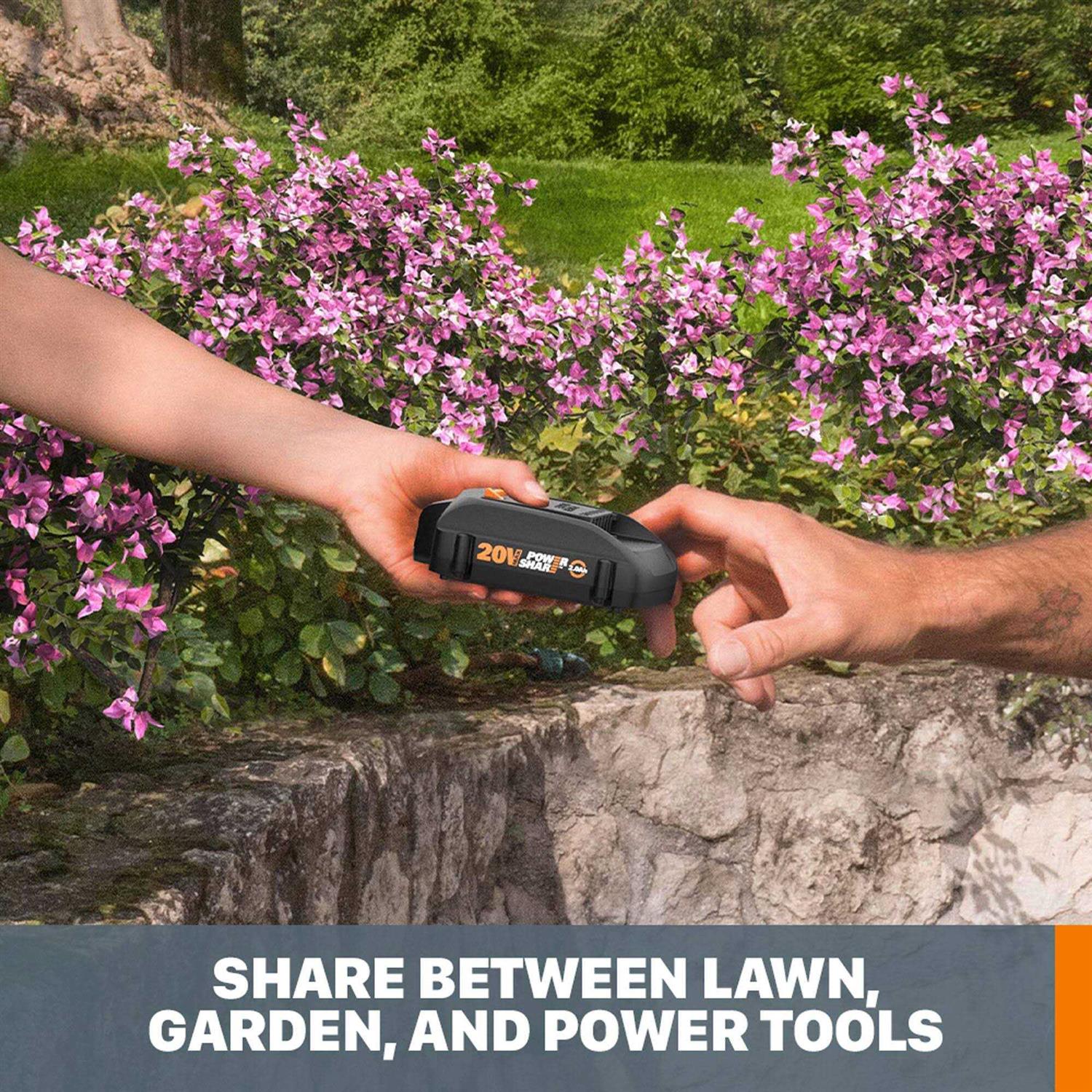 Worx 20V Lithium Battery