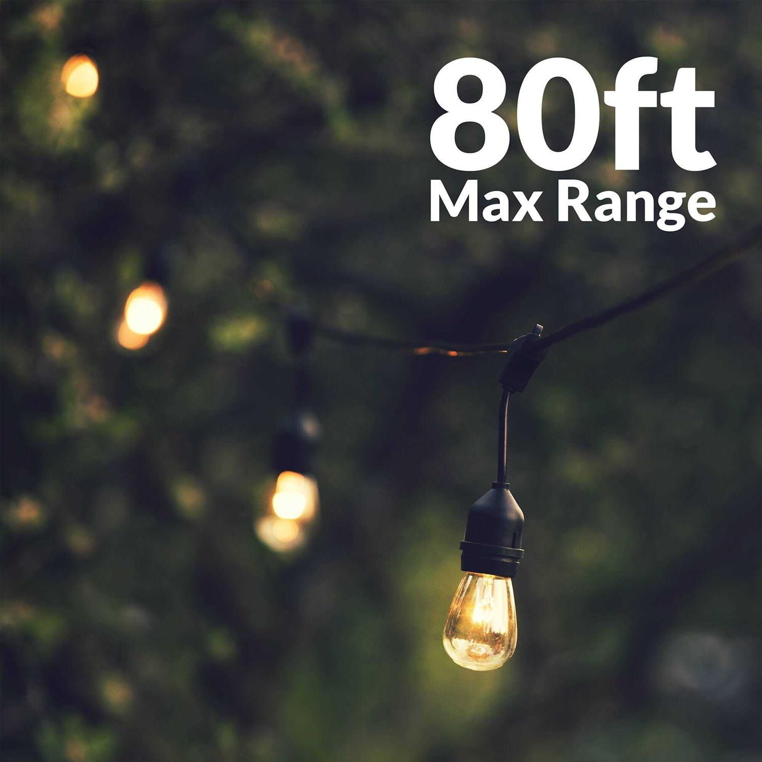 Newhouse Lighting Outdoor LED Dimmer for String Lights with Remote Control LEDDIM-265