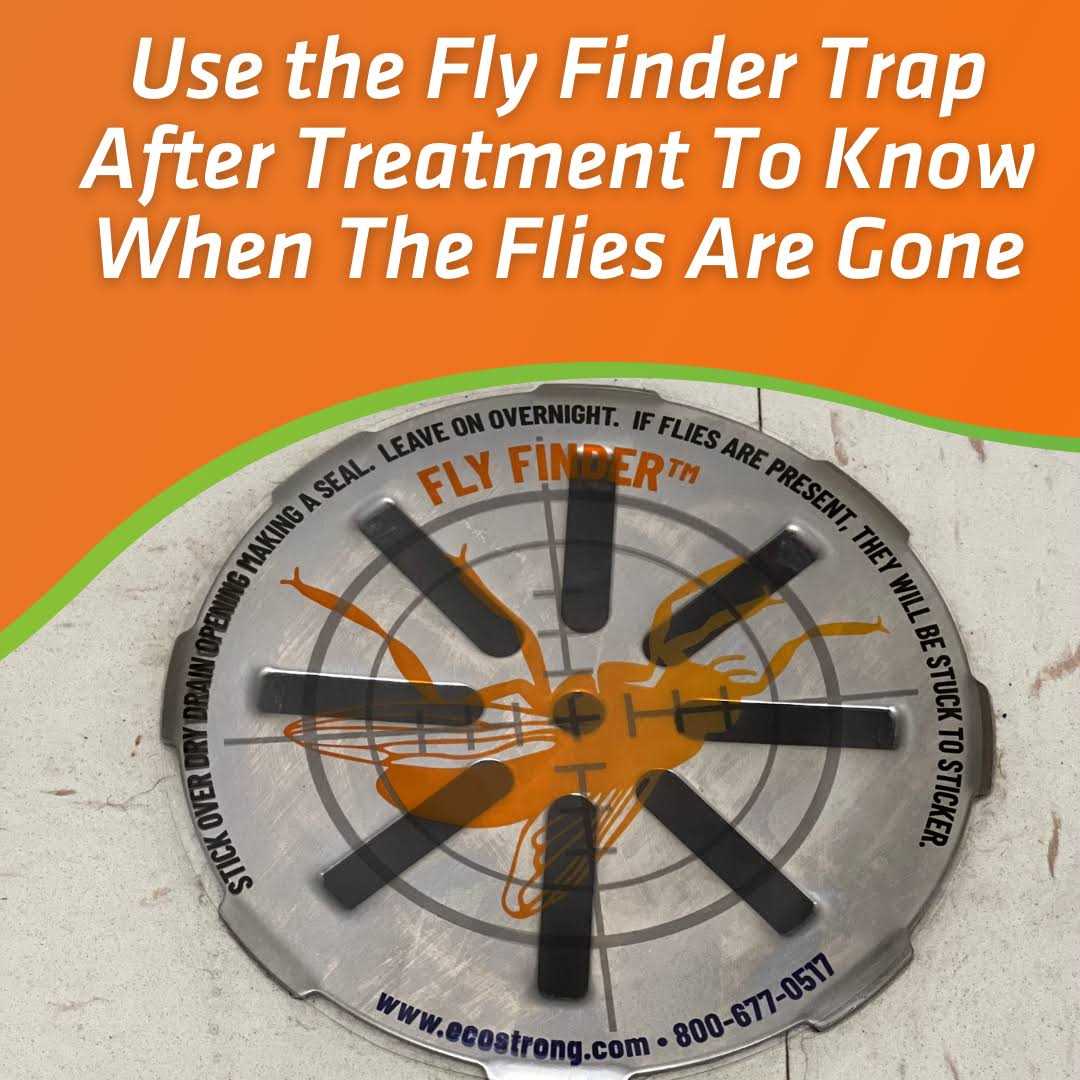 Fruit Fly Drain Treatment, Drain Fly Eliminator Eliminates Gnats, Sewer Flies and More