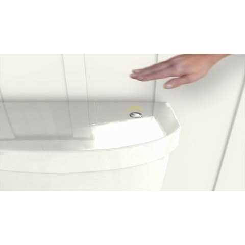 Kohler K-3819-0 Memoirs Comfort Height Two-Piece Elongated 1.6 Gpf Toilet with Stately
