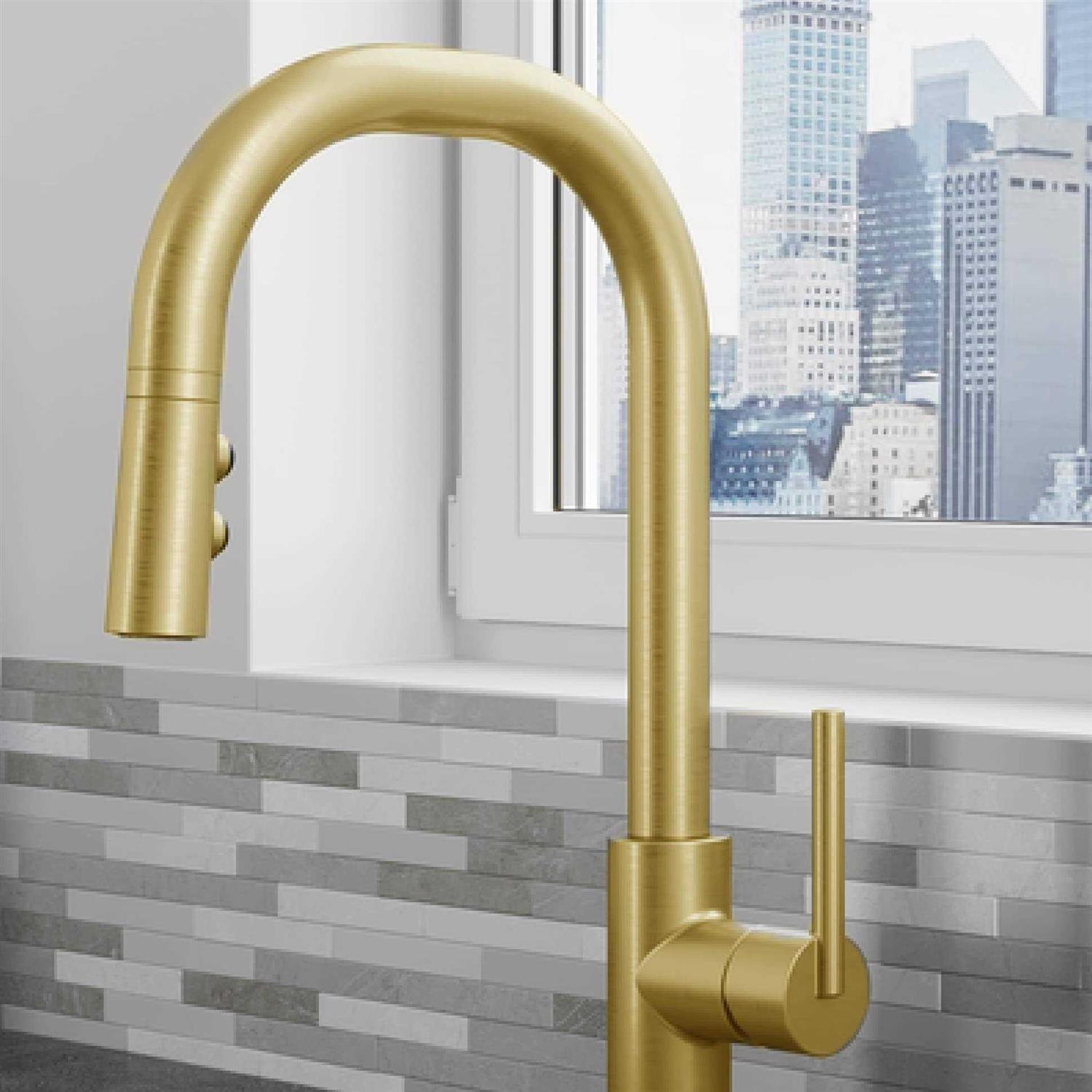 Pfister Zanna Single Handle Pull Down Sprayer Kitchen Faucet with Deckplate and Soap Dispenser