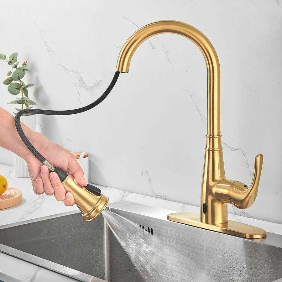 Zalerock Pause Mode Single Handle Pull Down Sprayer Kitchen Faucet with Deck Plate Included