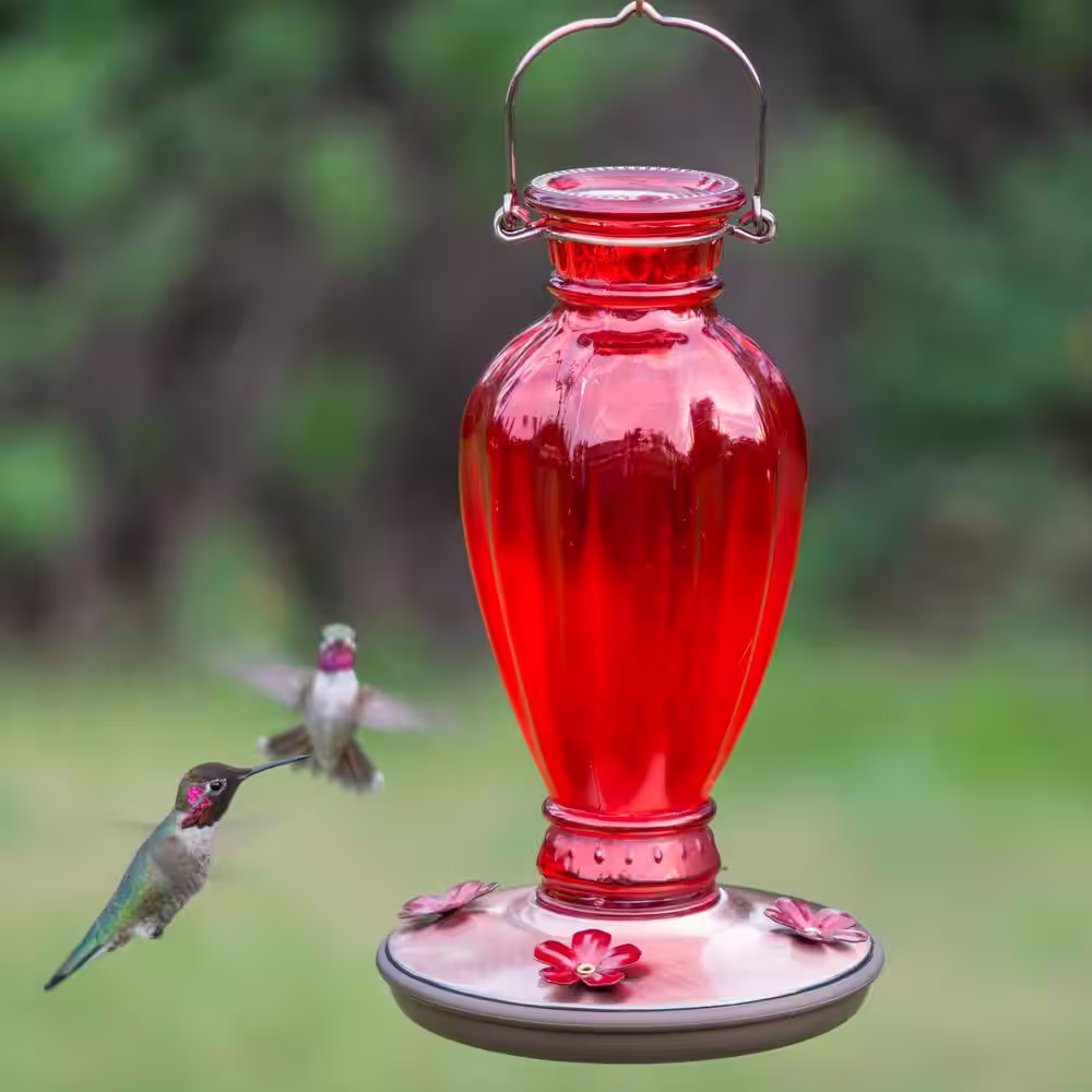 Perky-Pet Red Daisy Vase Decorative Glass Hummingbird Feeder - 18 oz. Capacity