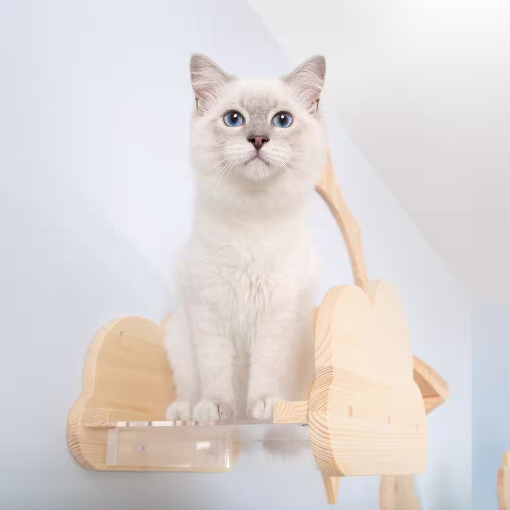 AndMakers MYZOO MOKU Cloud-Shaped Wall Mounted Cat Shelves Solid Wood with Acrylic Plate Furniture Cover