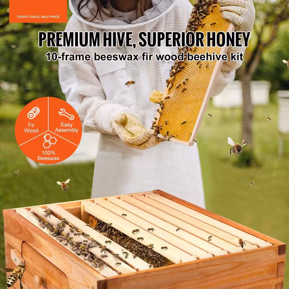 None Bee Hive 10-Frame Complete Beehive Kit 100% Beeswax Natural Wood Includes 1 Medium Box with 10 Wooden Frames and Waxed