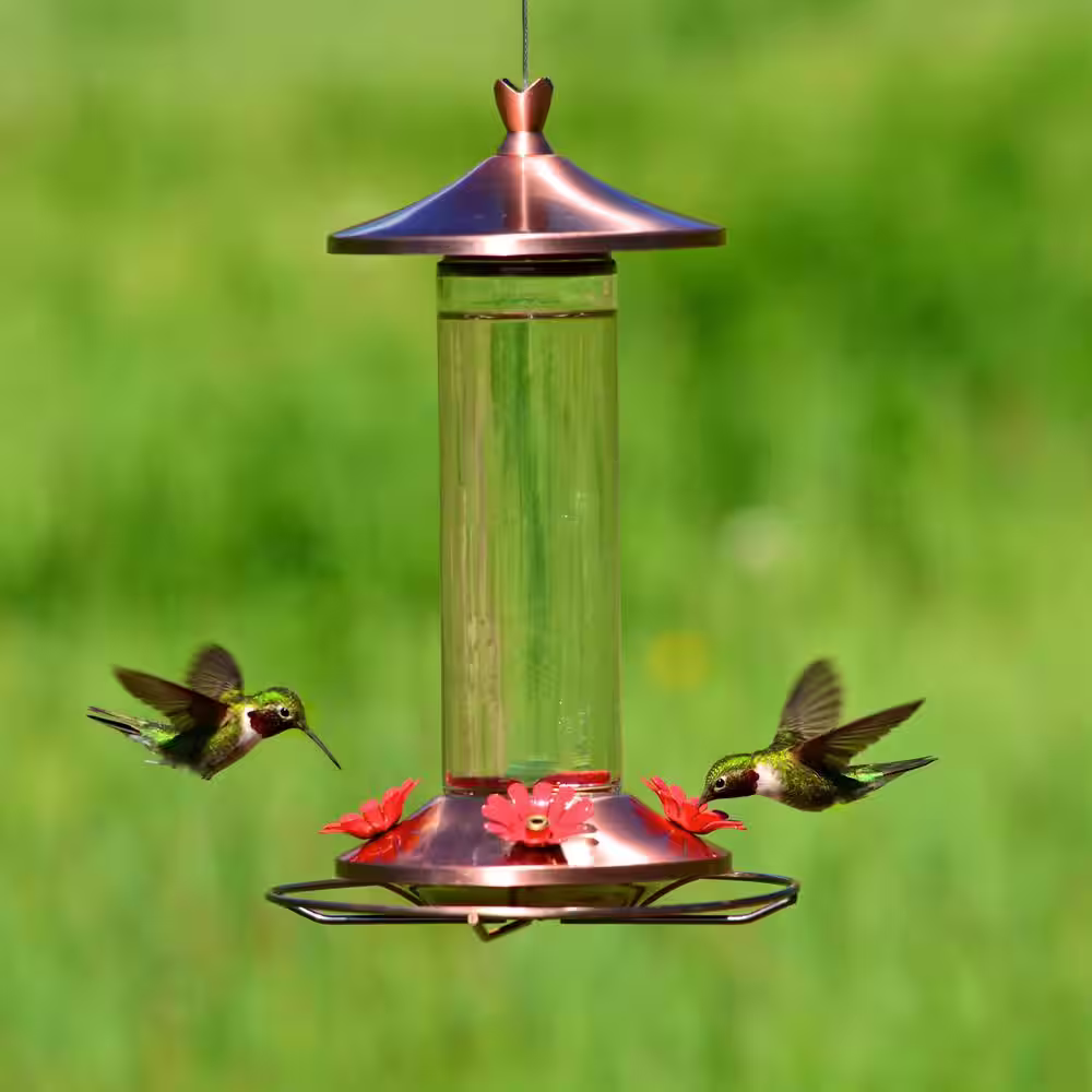 Perky-Pet Elegant Glass Copper Bee-Resistant Garden Hummingbird Feeder - 12 oz. Capacity