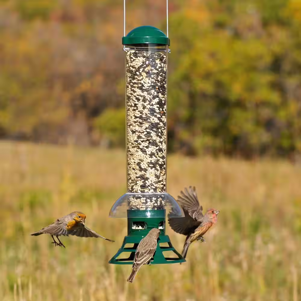 Perky-Pet Squirrel Slammer SquirrelÂ Resistant WildÂ Bird Feeder - 3.5 lb. Capacity