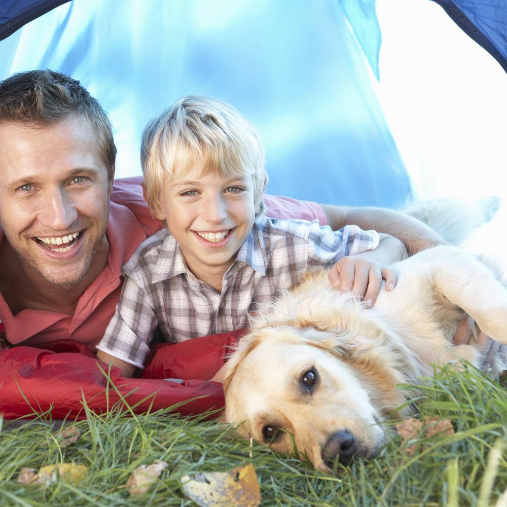 Petmaker Large Chocolate Waterproof Pet Bed