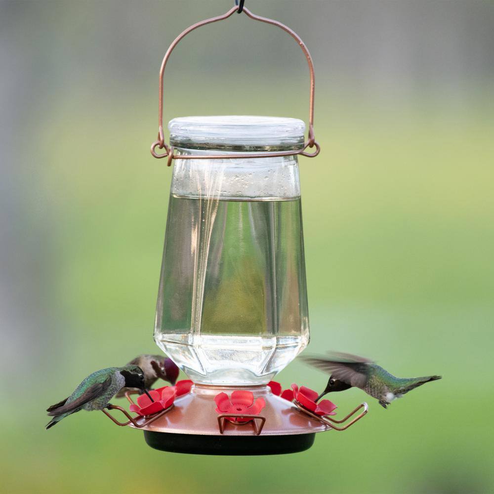 Perky-Pet 28 oz. Capacity Crystal Top-Fill Glass Hummingbird Feeder