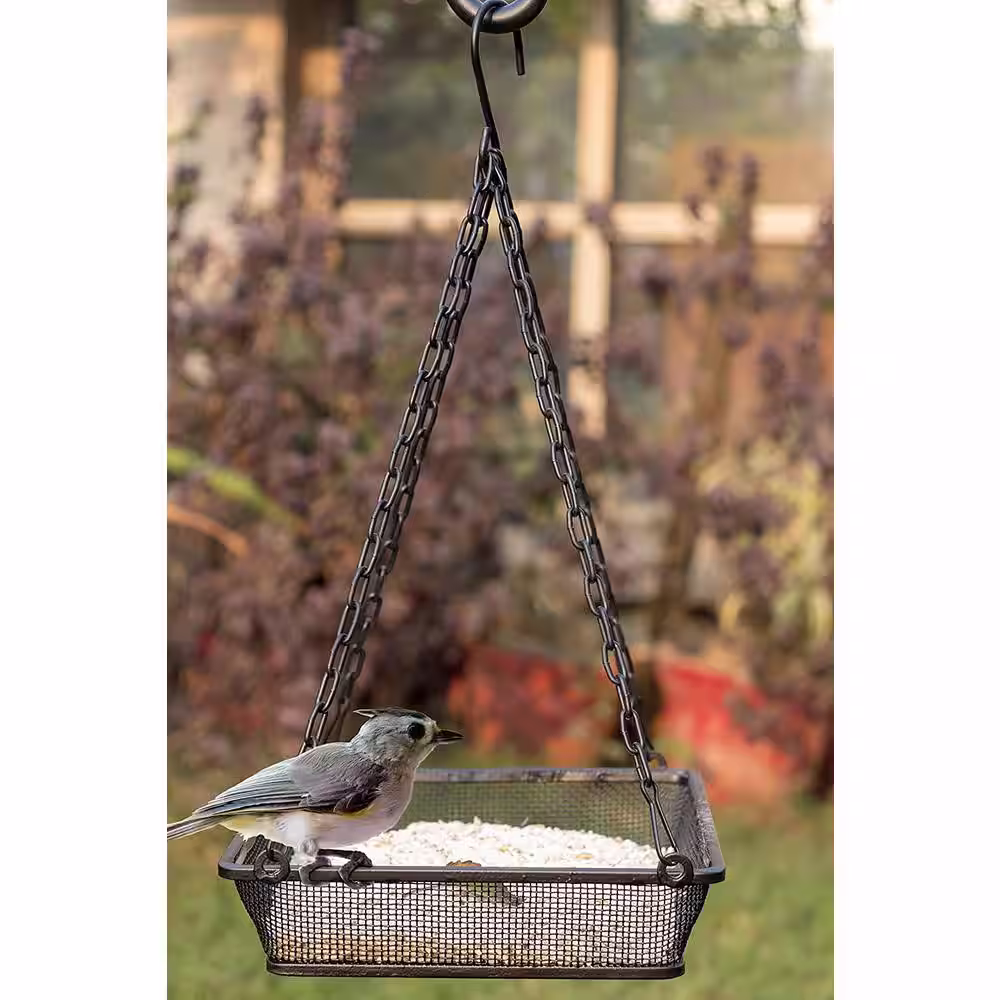 Monarch Abode Black Hanging Bird Feeder Mesh Seed Tray