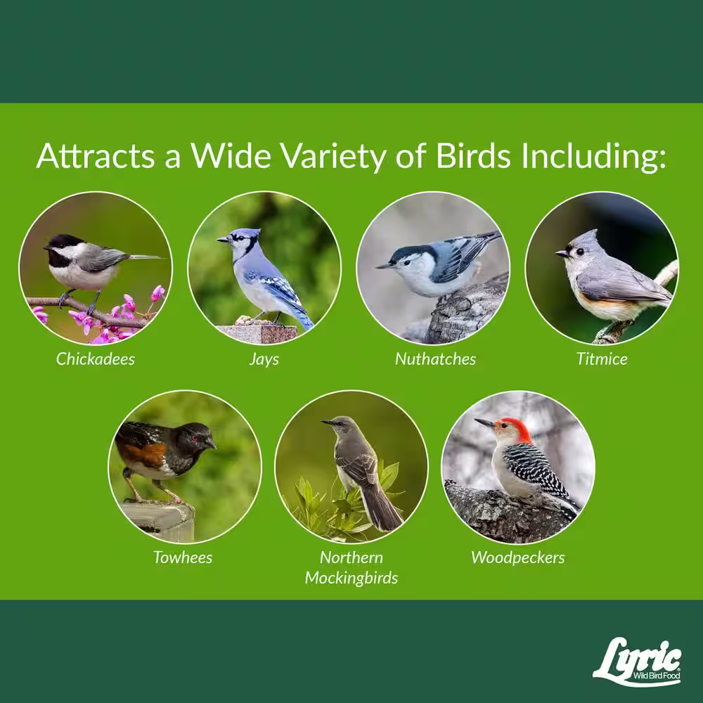 Lyric 20 lb. Woodpecker No Waste Wild Bird Mix