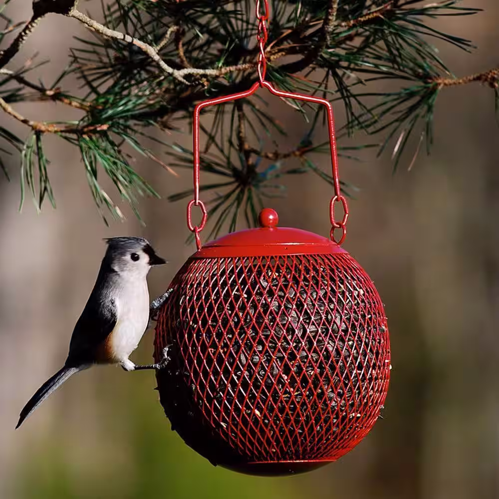 Perky-Pet Red Seed Ball Hanging Bird Feeder - 1.2 lb. Capacity