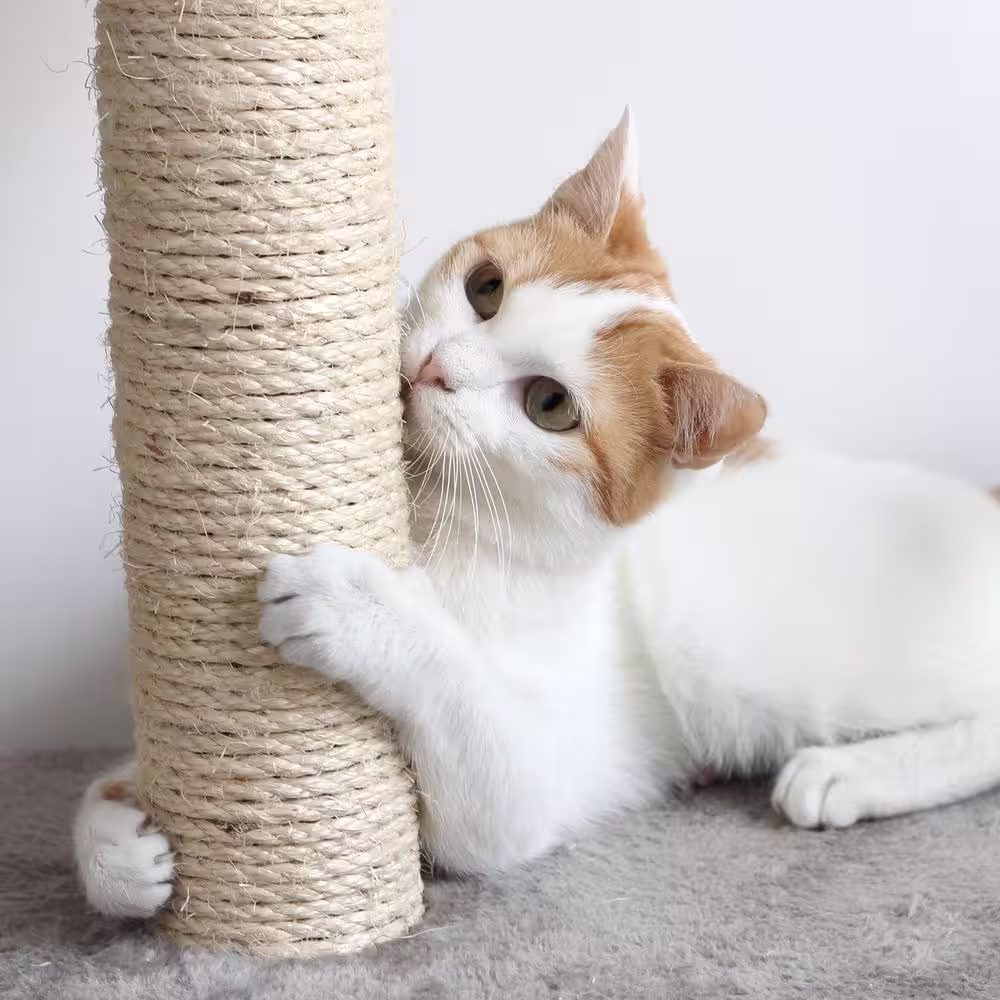 Petmaker 6 ft. Sleep and Play Cat Tree