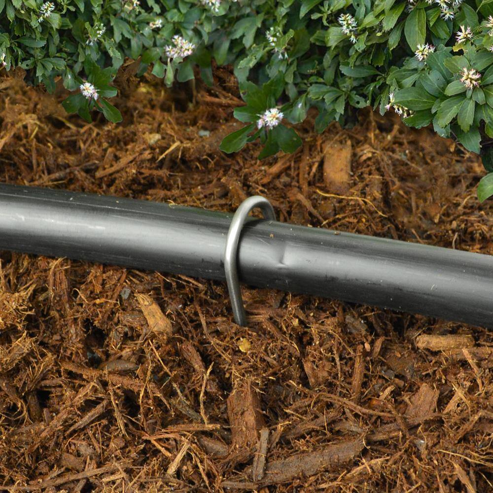 Vigoro 6 in. X 1 in. Galvanized Drip Irrigation Stakes (100-pack)