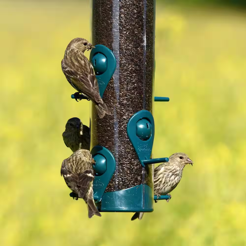 Perky-Pet Sierra Wild Bird Feeder