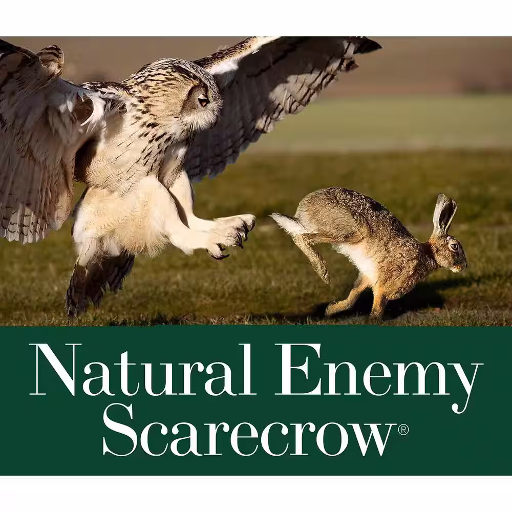 GARDENEER By Dalen 18.5 in. H Dalen Products SOL-R Action Owl