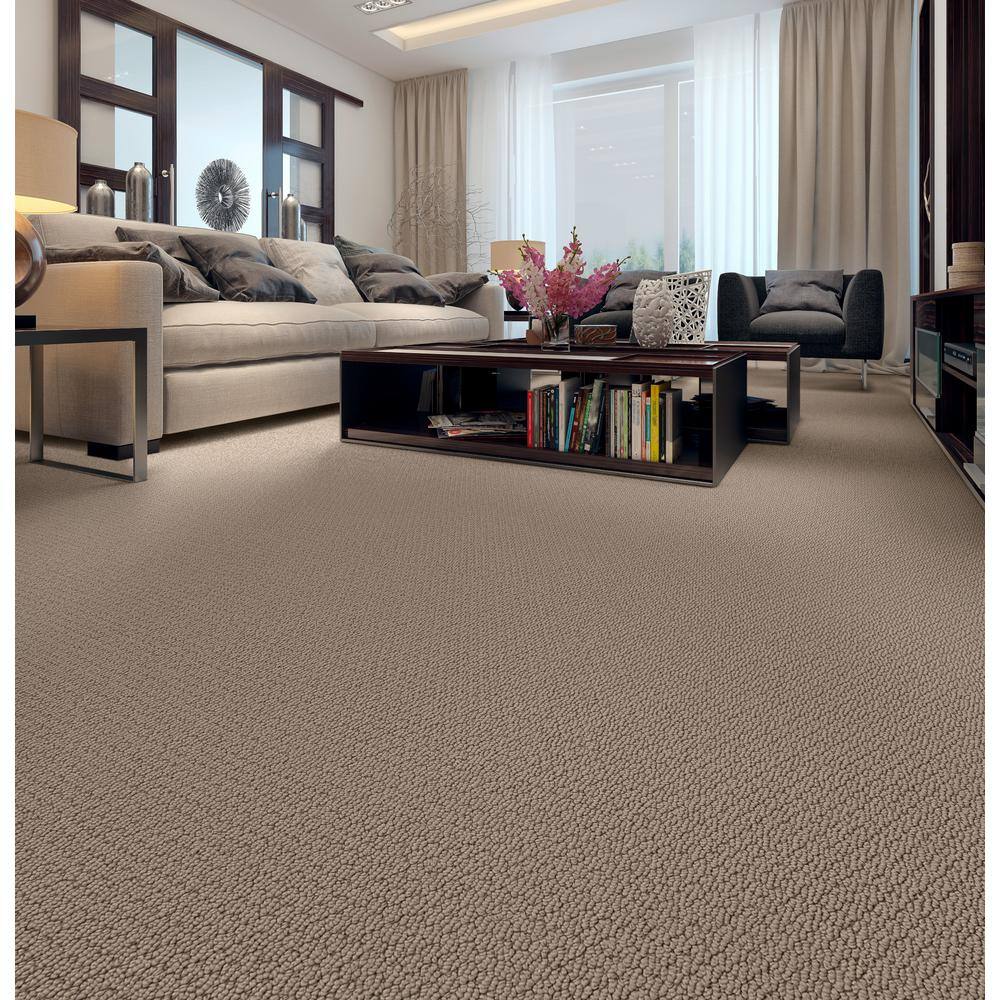 Home Decorators Collection Hickory Lane - Fox Run - Brown 32.7 oz. SD Polyester Loop Installed Carpet