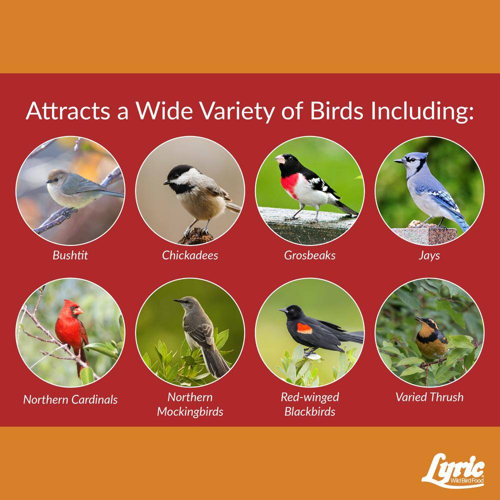 Lyric 18 lbs. Cardinal Premium Sunflower and Safflower Wild Bird Mix