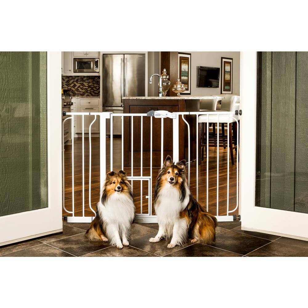 None Carlson Extra Wide Walk-Through Pet Gate with Small Pet Door, White