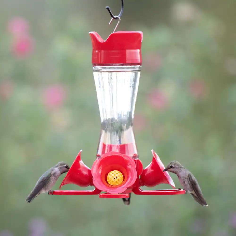 Perky-Pet Clear Pinch Waist Glass Hummingbird Feeder - 8 oz. Capacity