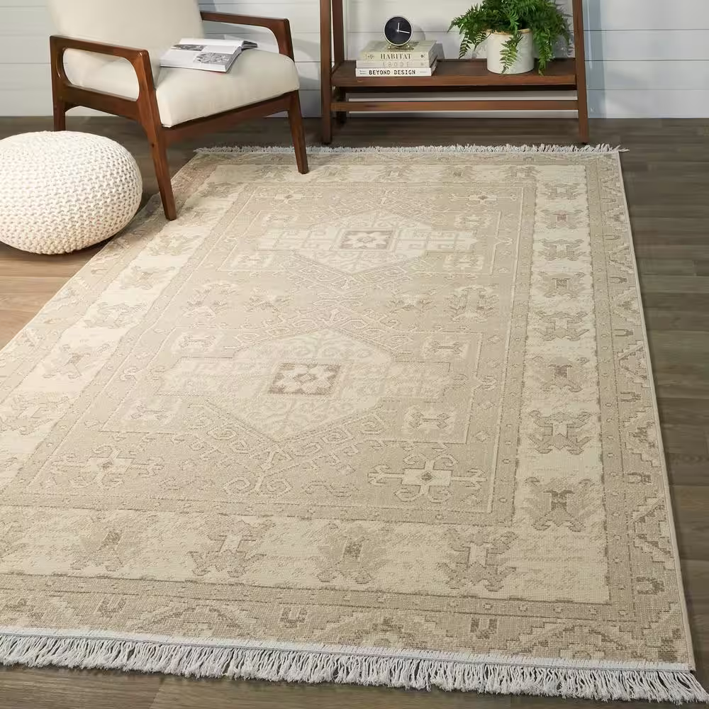 Home Decorators Collection Decklyn Taupe 5 ft. x 7 ft. Oriental Fringe Area Rug
